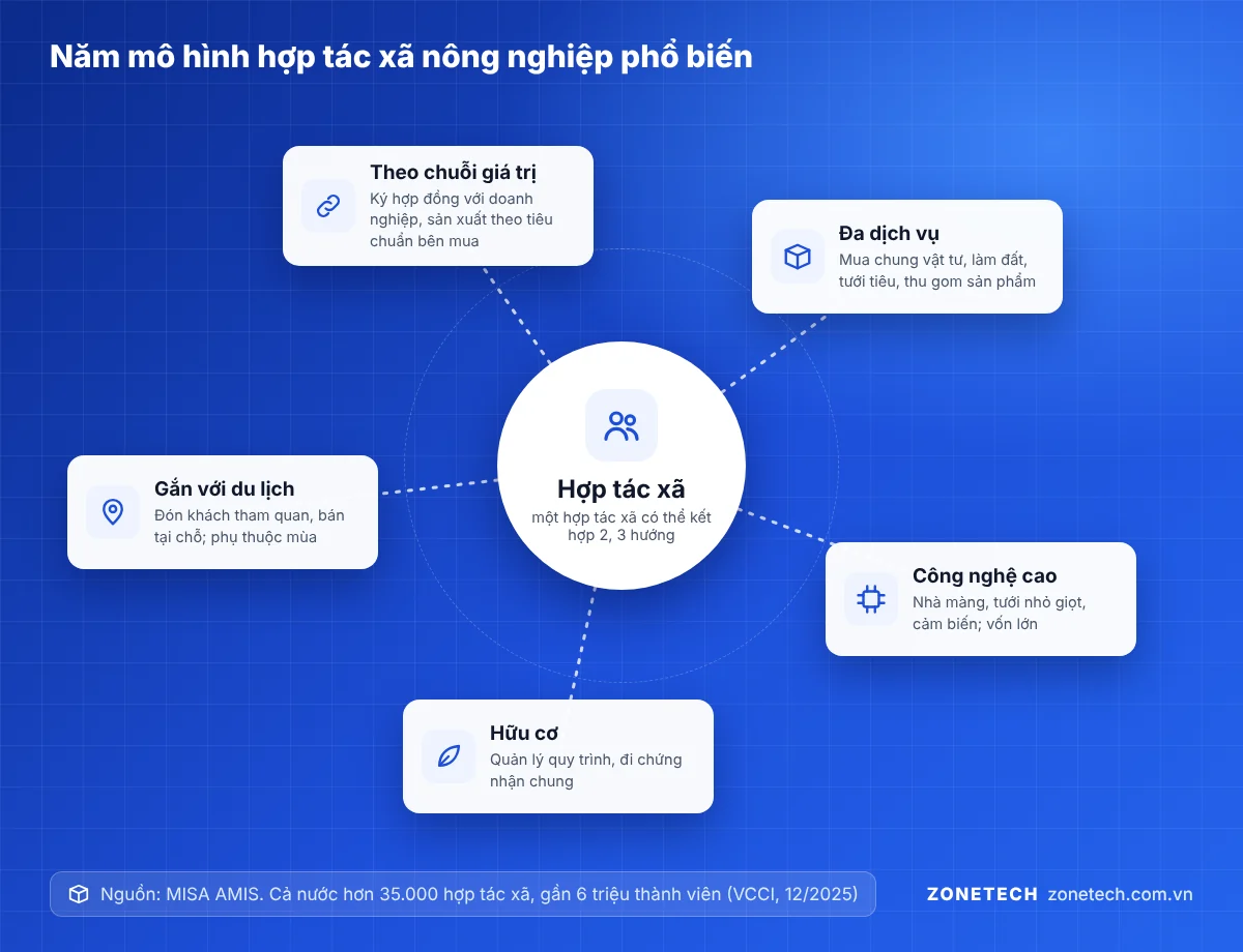 Sơ đồ năm mô hình hợp tác xã nông nghiệp phổ biến