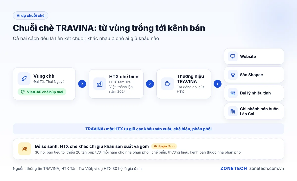 Chuỗi chè: vùng chè VietGAP, HTX chế biến, kênh website, sàn, đại lý