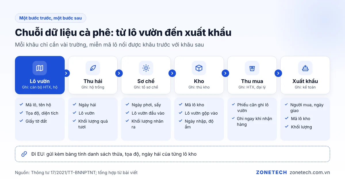 Sơ đồ chuỗi cà phê từ lô vườn, thu hái, sơ chế, kho, thu mua đến xuất khẩu kèm dữ liệu từng khâu