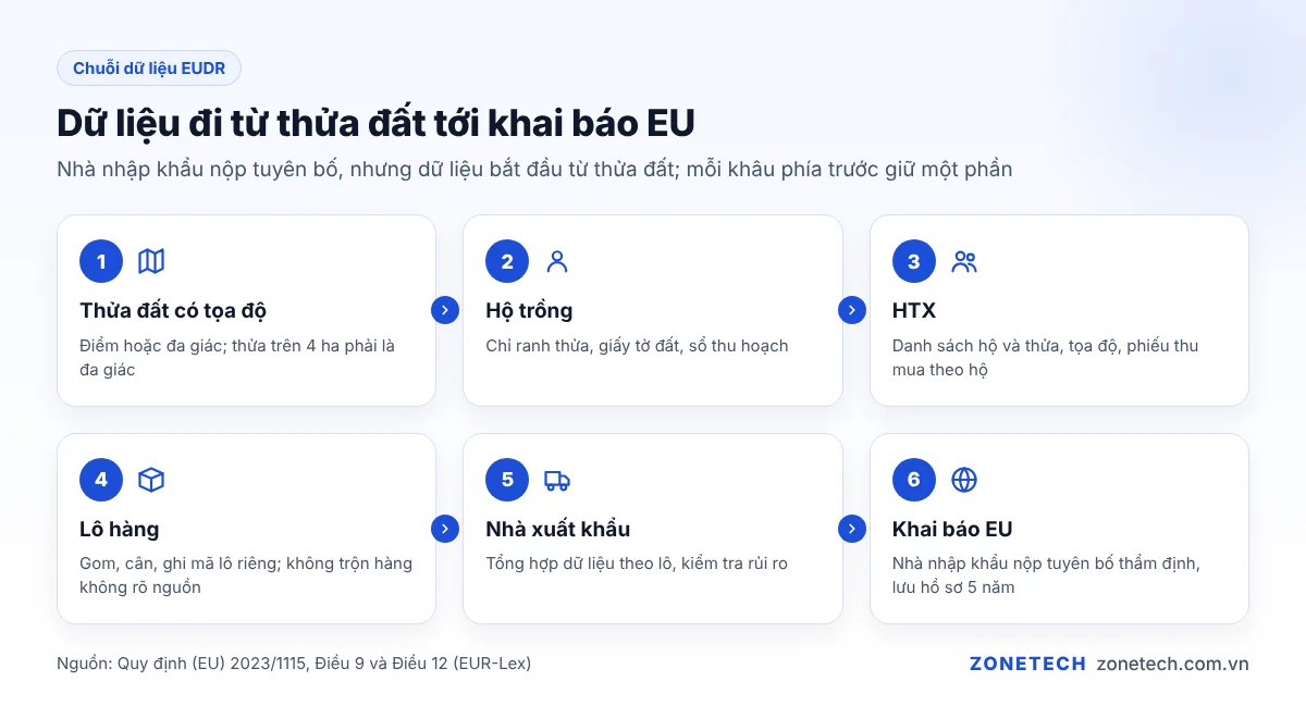 Sơ đồ chuỗi dữ liệu EUDR từ thửa đất có tọa độ, hộ trồng, HTX, lô hàng đến nhà xuất khẩu và khai báo EU