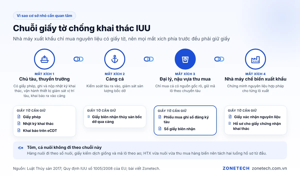 Chuỗi giấy tờ chống khai thác IUU từ tàu cá, cảng cá, đại lý thu mua đến nhà máy chế biến xuất khẩu