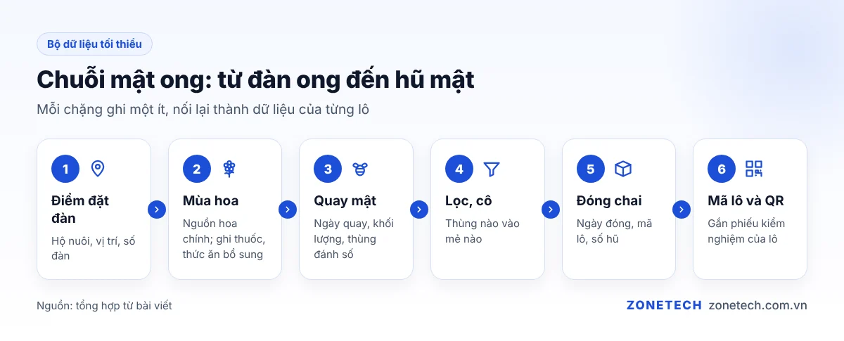 Sơ đồ chuỗi mật ong: điểm đặt đàn, mùa hoa, quay mật, lọc, đóng chai, mã lô và mã QR