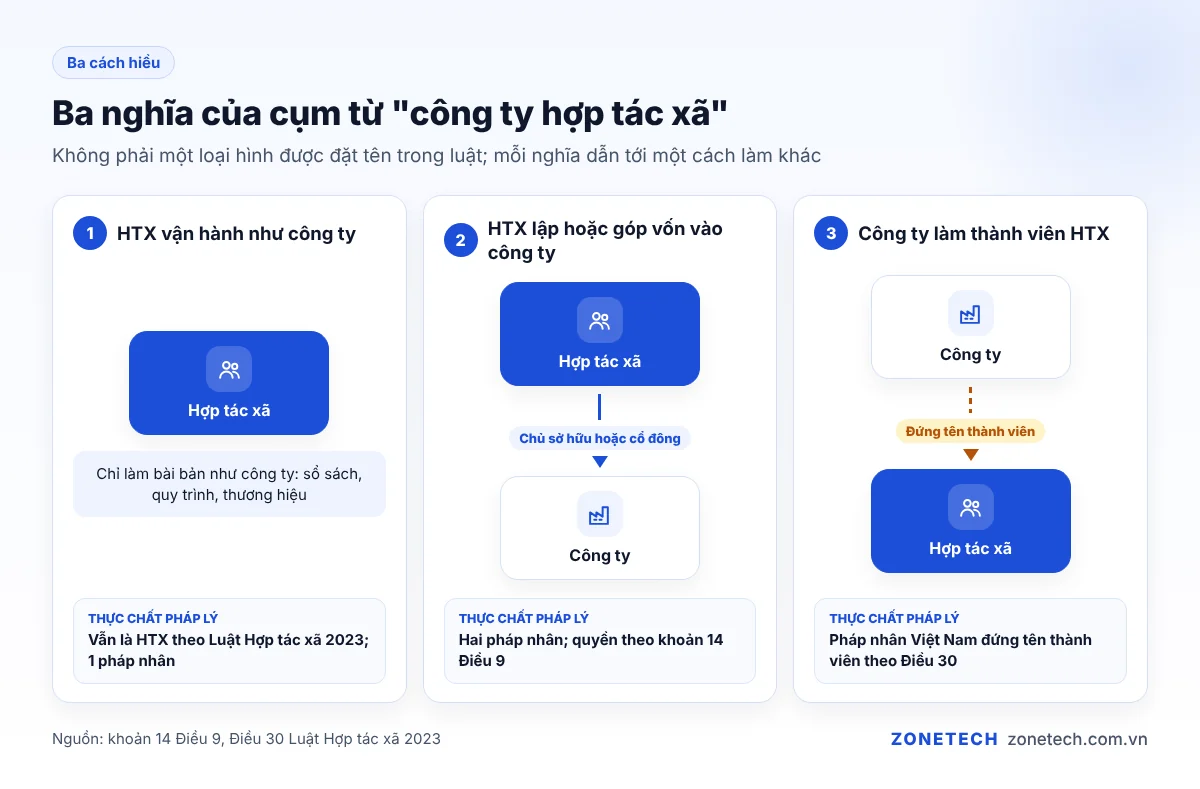 Ba nghĩa của cụm từ công ty hợp tác xã: HTX vận hành như công ty, HTX lập công ty, công ty làm thành viên HTX