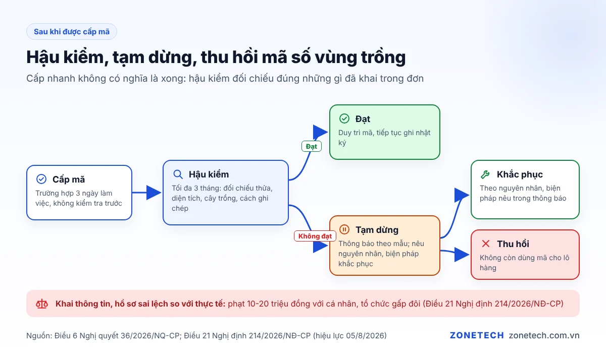 Sơ đồ sau khi cấp mã số vùng trồng: hậu kiểm 3 tháng, tạm dừng, khắc phục hoặc thu hồi