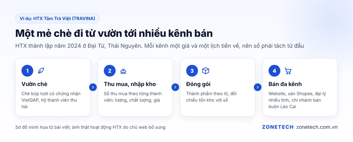 Hoạt động của HTX Tâm Trà Việt: vườn chè, kho và khâu đóng gói