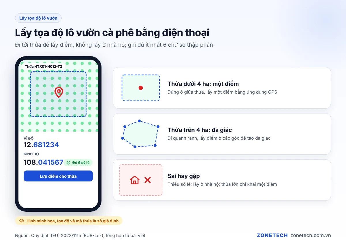 Cán bộ HTX lấy tọa độ lô vườn cà phê bằng điện thoại