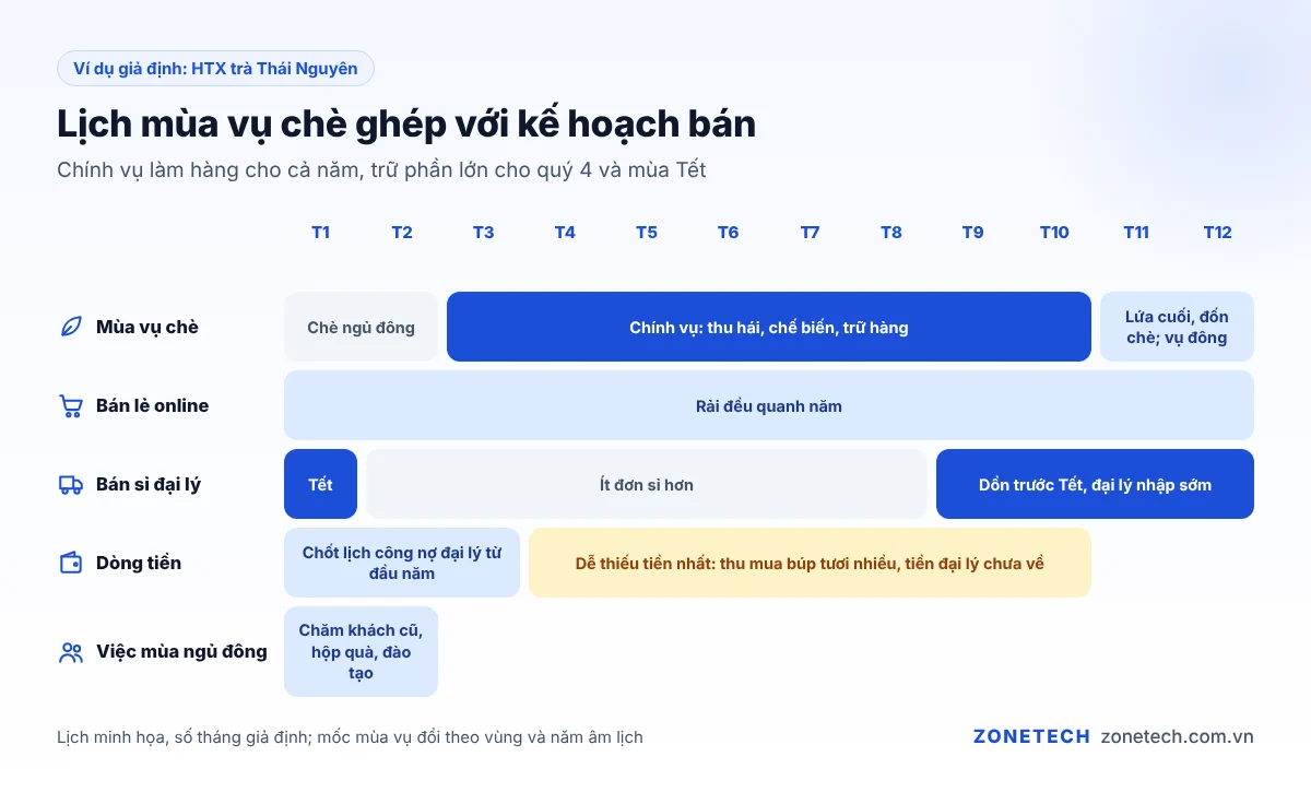 Lịch mùa vụ chè theo tháng ghép với kế hoạch bán hàng của HTX