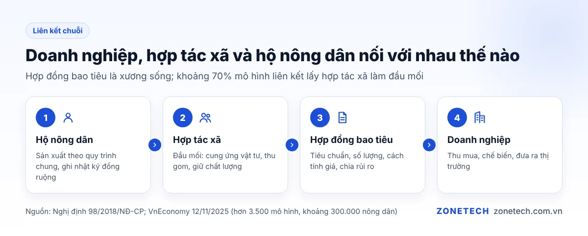 Chuỗi liên kết giữa doanh nghiệp, hợp tác xã và hộ nông dân