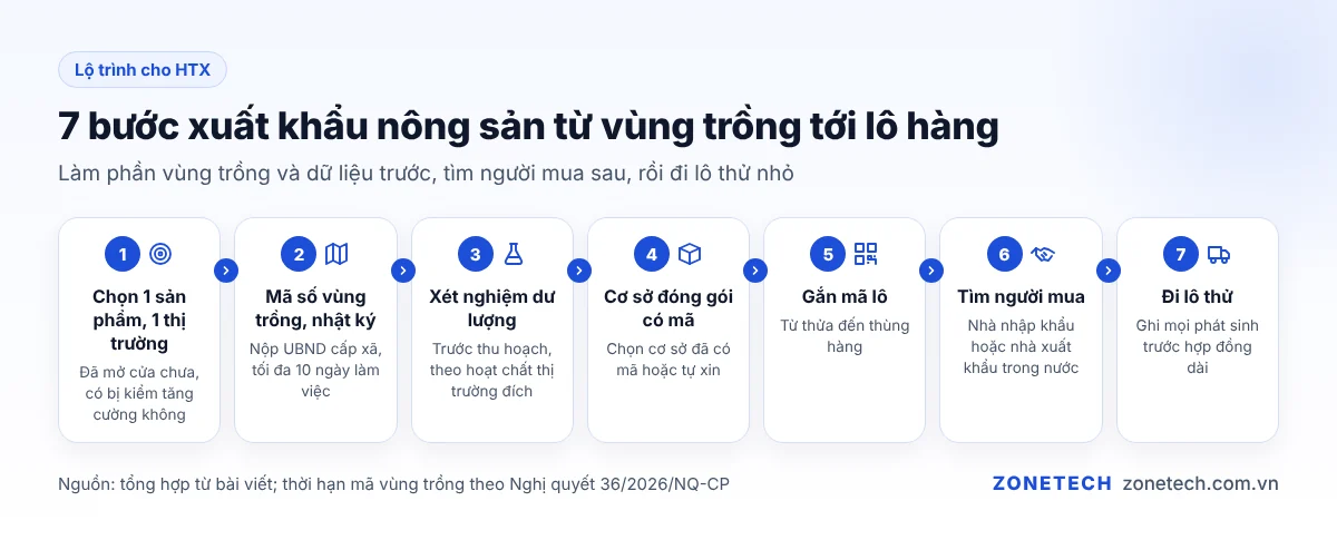 Lộ trình 7 bước xuất khẩu nông sản từ vùng trồng tới lô hàng cho HTX