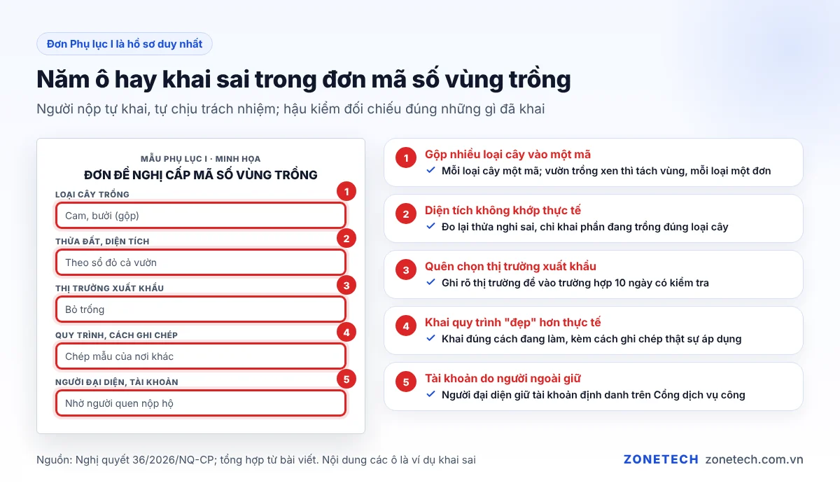 Năm lỗi hay gặp khi khai đơn mã số vùng trồng: gộp cây, sai diện tích, quên thị trường, quy trình không thật, tài khoản người đại diện