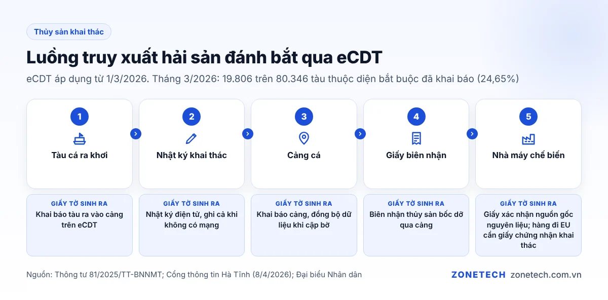 Sơ đồ luồng thủy sản khai thác: tàu cá, nhật ký khai thác, cảng cá, giấy biên nhận, nhà máy chế biến