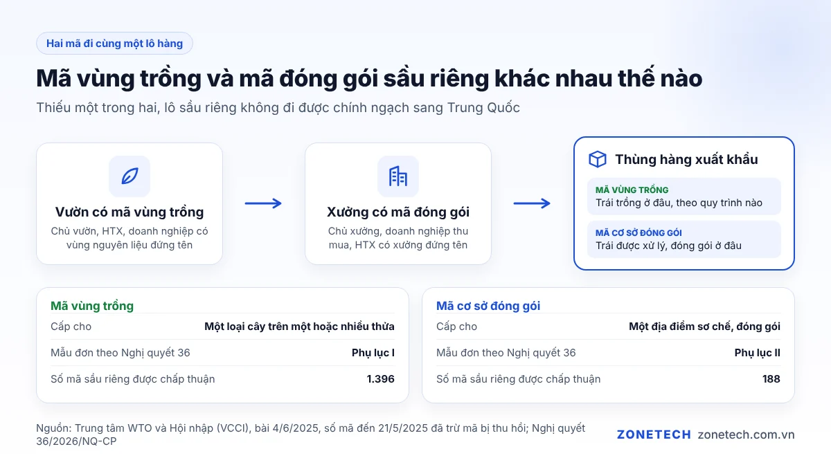 Hai mã đi cùng lô sầu riêng xuất khẩu: mã vùng trồng chứng minh nơi trồng, mã cơ sở đóng gói chứng minh nơi xử lý