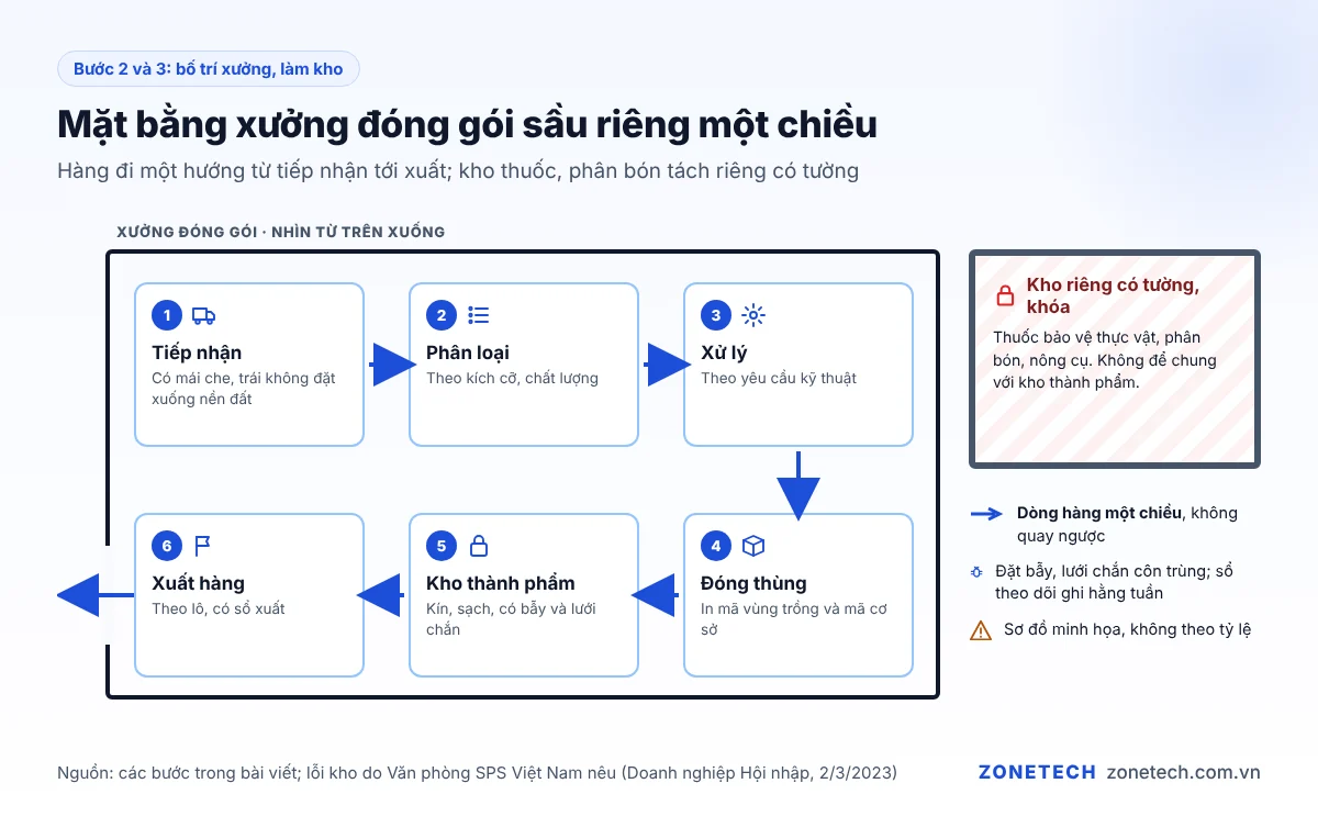 Mặt bằng xưởng đóng gói sầu riêng một chiều: tiếp nhận, phân loại, xử lý, đóng thùng, kho thành phẩm, xuất hàng