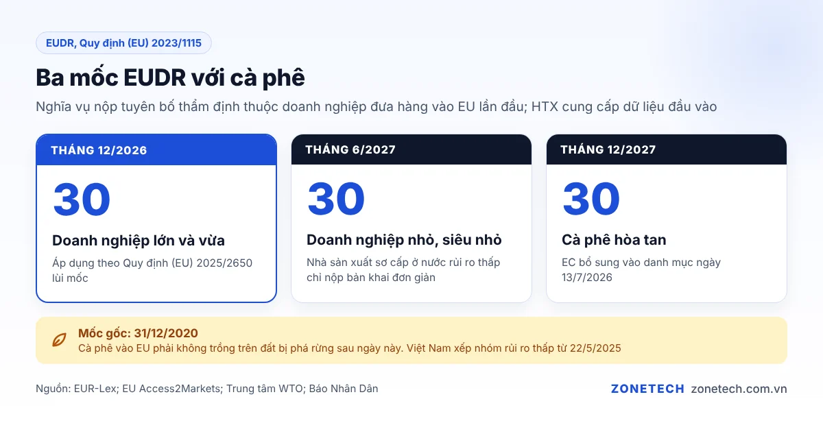 Bảng mốc thời gian EUDR cho doanh nghiệp lớn, vừa, nhỏ, siêu nhỏ và cà phê hòa tan