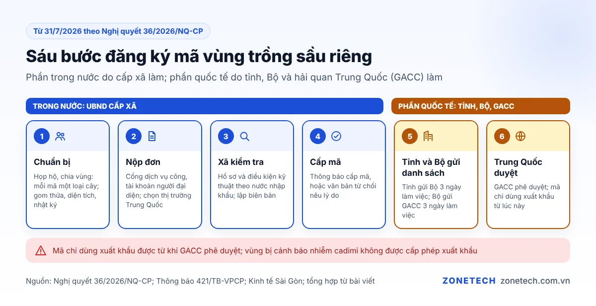 Sáu bước đăng ký mã vùng trồng sầu riêng: chuẩn bị, nộp đơn, xã kiểm tra, cấp mã, tỉnh và Bộ gửi danh sách, Trung Quốc duyệt