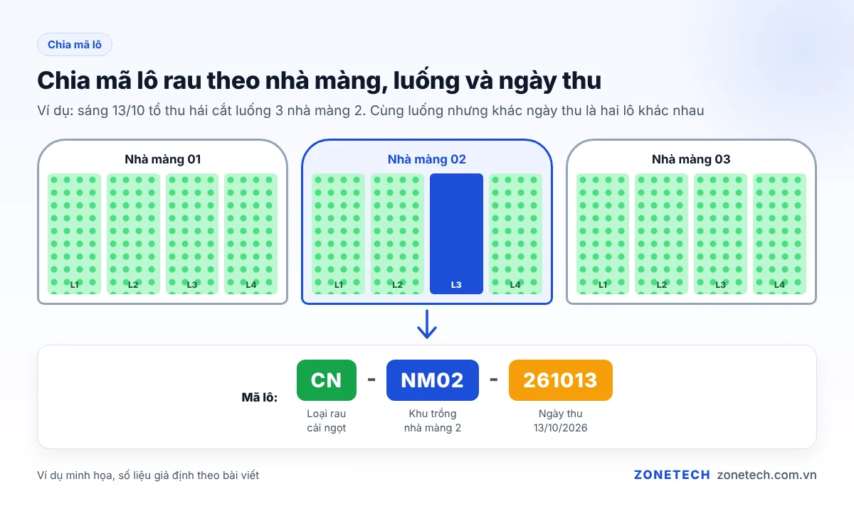 Sơ đồ chia mã lô rau theo nhà màng, luống và ngày thu