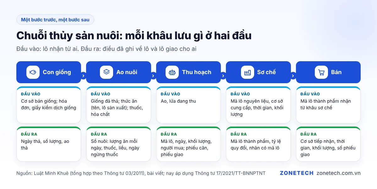 Sơ đồ một bước trước, một bước sau trong chuỗi thủy sản nuôi: giống, ao nuôi, thu hoạch, sơ chế, bán