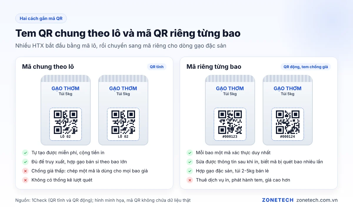 So sánh tem QR chung theo lô và mã QR riêng cho từng bao gạo