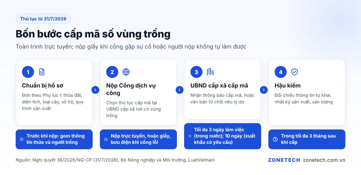 Sơ đồ thủ tục cấp mã số vùng trồng 2026: chuẩn bị, nộp Cổng dịch vụ công, UBND xã cấp mã, hậu kiểm