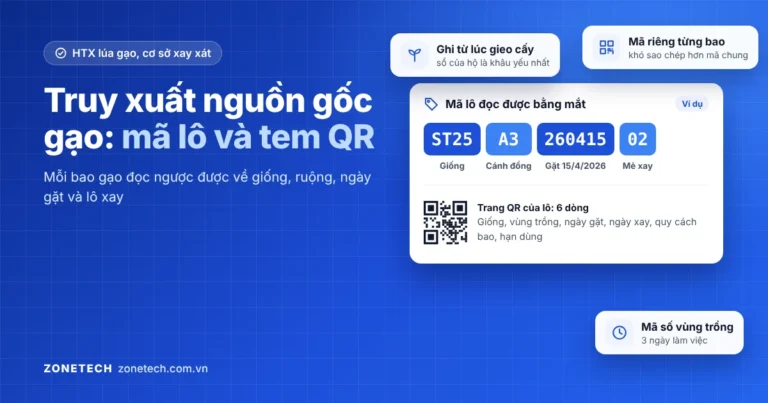 Ảnh bìa bài truy xuất nguồn gốc gạo: mã lô ST25-A3-260415-02 tách từng phần và trang QR của lô
