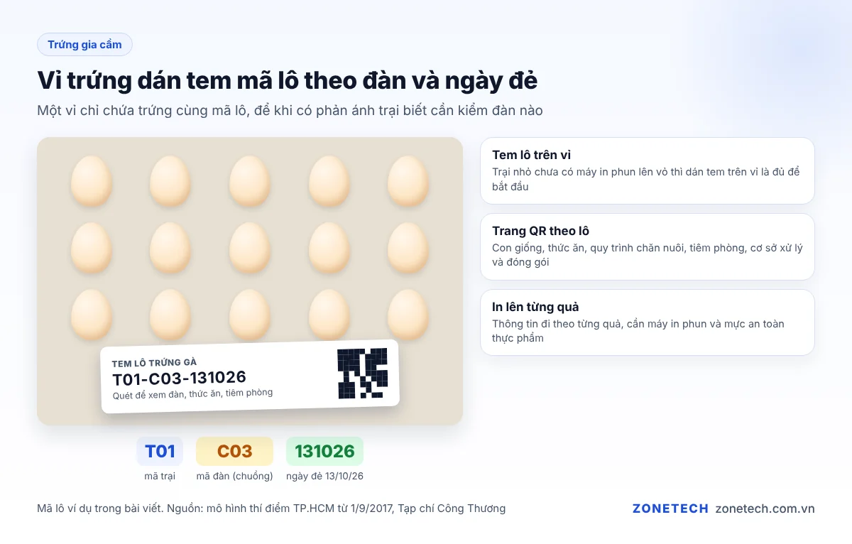 Vỉ trứng gà dán tem mã lô theo đàn và ngày đẻ, có mã QR