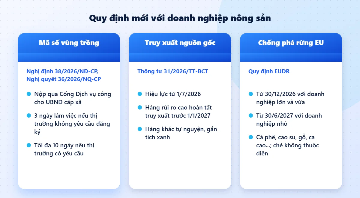 Ba quy định mới với doanh nghiệp nông sản năm 2026: mã số vùng trồng, Thông tư 31, EUDR
